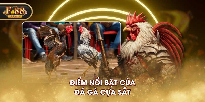 Điểm nổi bật của đá gà cựa sắt Điểm nổi bật của đá gà cựa sắt