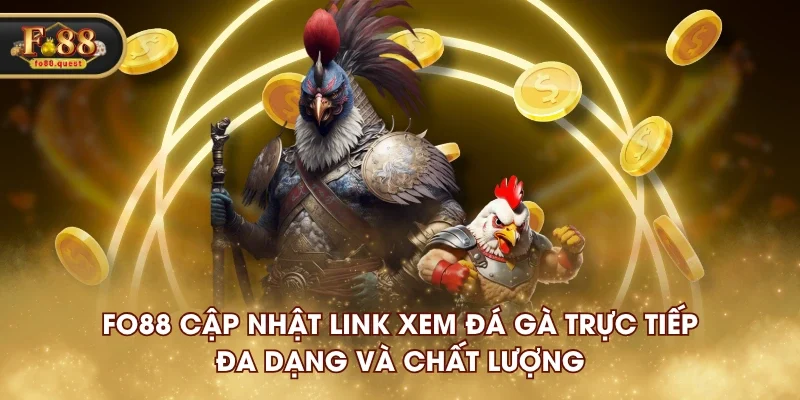 FO88 cập nhật link xem đá gà trực tiếp đa dạng và chất lượng FO88 cập nhật link xem đá gà trực tiếp đa dạng và chất lượng