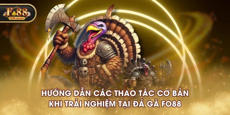 Hướng dẫn các thao tác cơ bản khi trải nghiệm tại Đá Gà FO88 Hướng dẫn các thao tác cơ bản khi trải nghiệm tại Đá Gà FO88