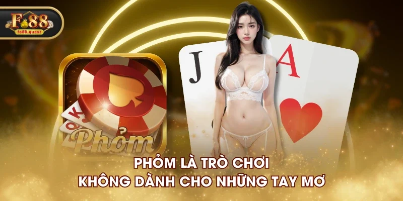 Phỏm là trò chơi không dành cho những tay mơ Phỏm là trò chơi không dành cho những tay mơ