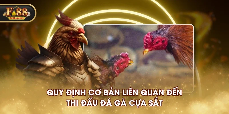 Quy định cơ bản liên quan đến thi đấu đá gà cựa sắt Quy định cơ bản liên quan đến thi đấu đá gà cựa sắt