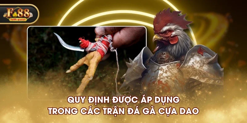 Quy định được áp dụng trong các trận đá gà cựa dao Quy định được áp dụng trong các trận đá gà cựa dao