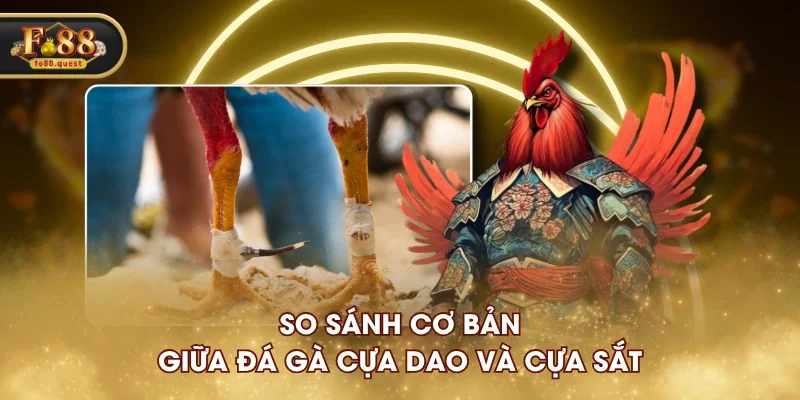 So sánh cơ bản giữa đá gà cựa dao và cựa sắt So sánh cơ bản giữa đá gà cựa dao và cựa sắt