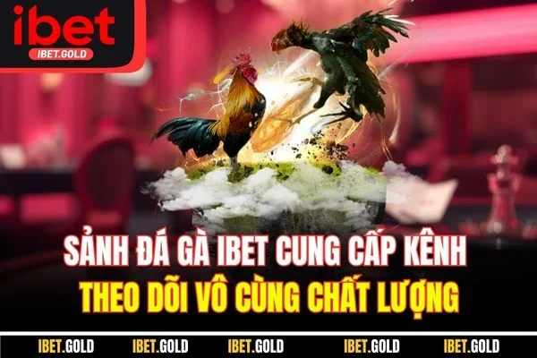 Sảnh đá gà IBET cung cấp kênh theo dõi vô cùng chất lượng Sảnh đá gà IBET cung cấp kênh theo dõi vô cùng chất lượng